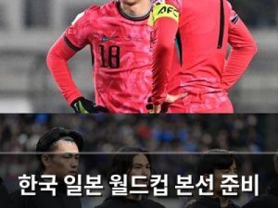 한국 일본 월드컵 본선 준비 위해 미국 멕시코와 평가전 치르나