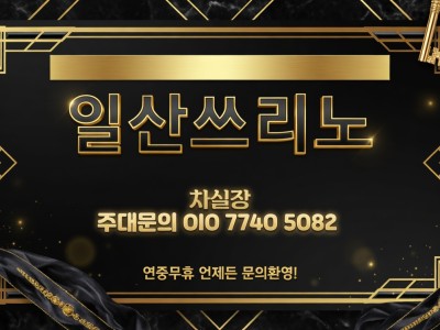 일산쓰리노 일산풀싸롱 [차실장 OlO 774O 5O82] 대화동쓰리노 백석동쓰리노 이용 경험을 결정하는 핵심…