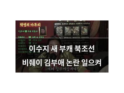 이수지 새 부캐 북조선 비줴이 김부애 논란 일으켜