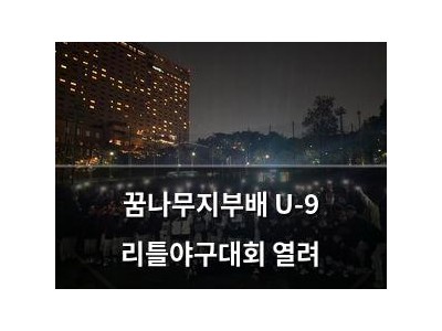 꿈나무지부배 U-9 리틀야구대회 열려