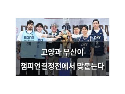 고양과 부산이 챔피언결정전에서 맞붙는다