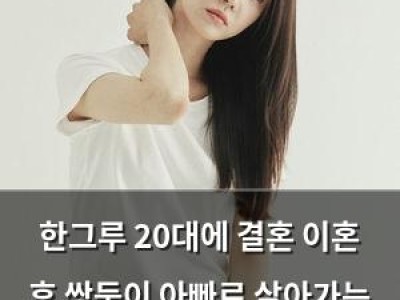 한그루 20대에 결혼 이혼 후 쌍둥이 아빠로 살아가는 현실