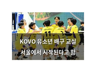 KOVO 유소년 배구 교실 서울에서 시작된다고 함